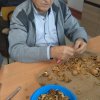ergoterapia z uzyciem orzechow wloskich 021